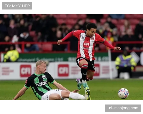 报道:纽卡斯尔联伤兵满营,对阵水晶宫或将摆出务实防守阵型 报道:纽卡斯尔联伤兵满营,对阵水晶宫或将摆出务实防守阵型